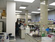 Visit to the Laboratories of the Department of Psychiatry, Li Ka Shing Faculty of Medicine, The University of Hong Kong (HKU) - Photo - 3
