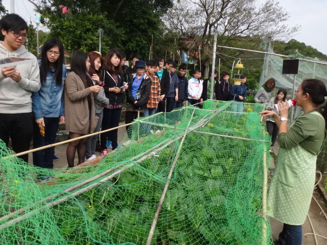 參觀西貢園藝農場 - Photo - 27