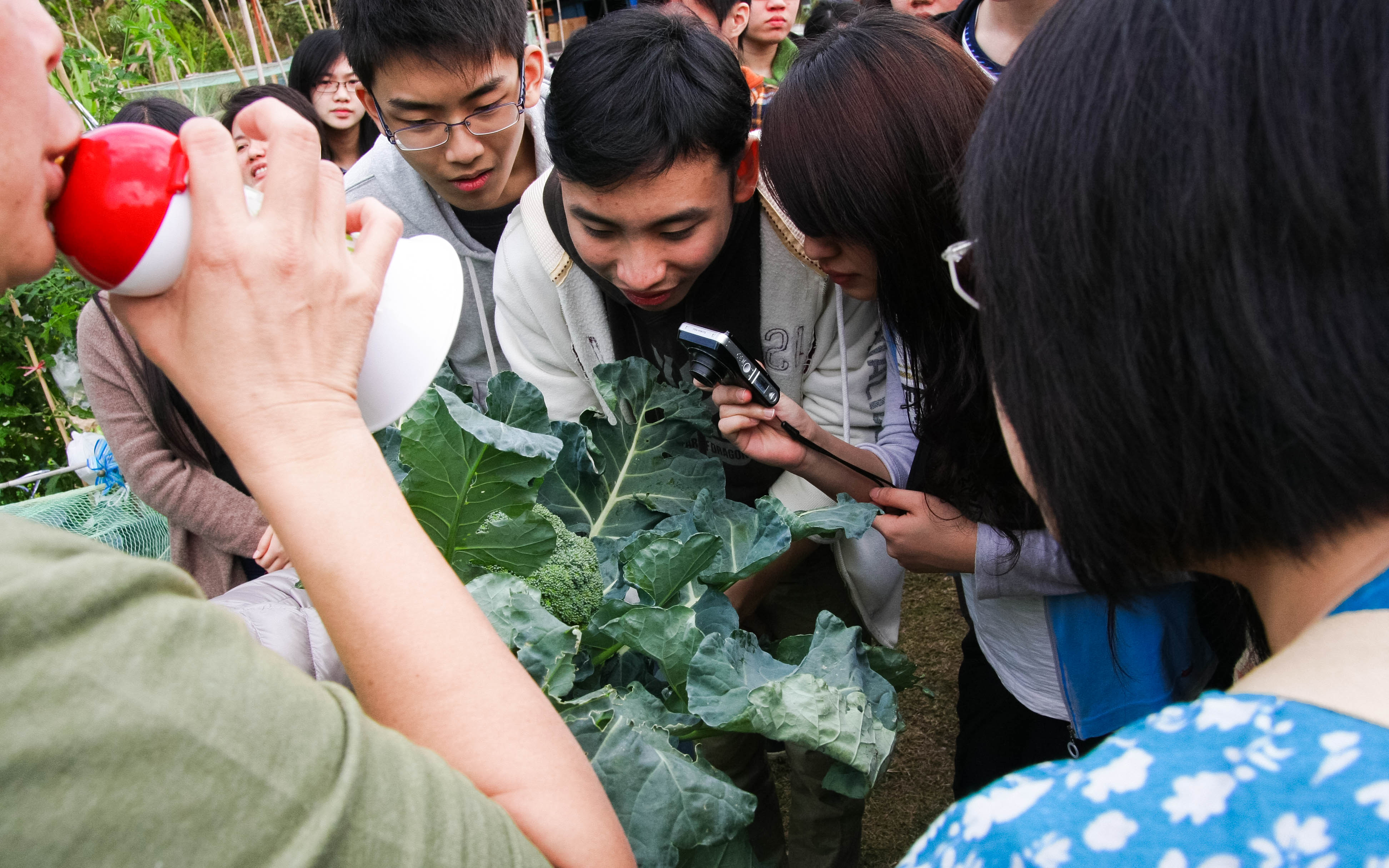 參觀西貢園藝農場 - Photo - 45