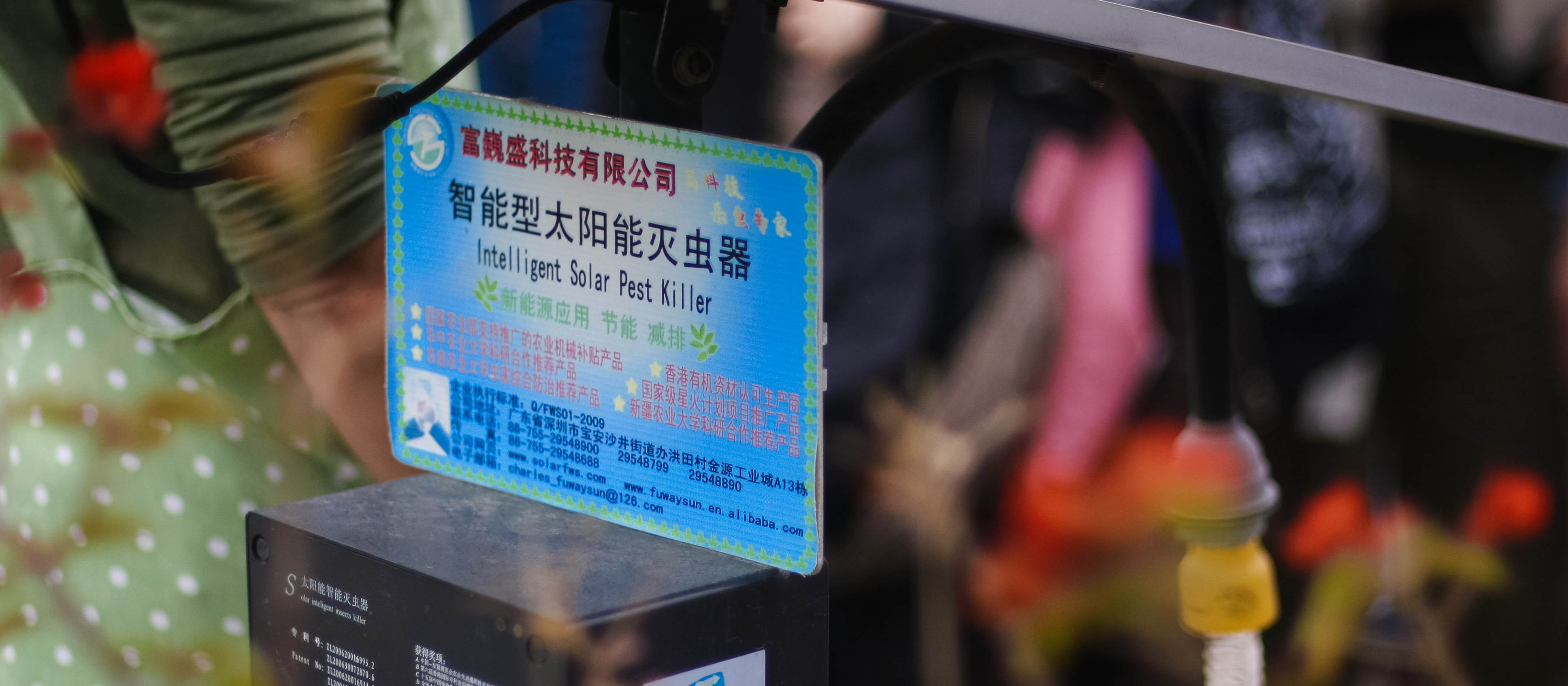 參觀西貢園藝農場 - Photo - 57
