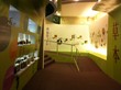Visit to Hung Fook Tung Herbal Tea Cultural Museum in Tsuen Wan - Photo - 13