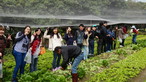 Visit to Organic Farm in Ha Pak Nai - Photo - 11