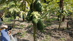 Visit to Organic Farm in Ha Pak Nai - Photo - 27