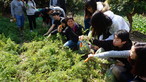 Visit to Organic Farm in Ha Pak Nai - Photo - 31