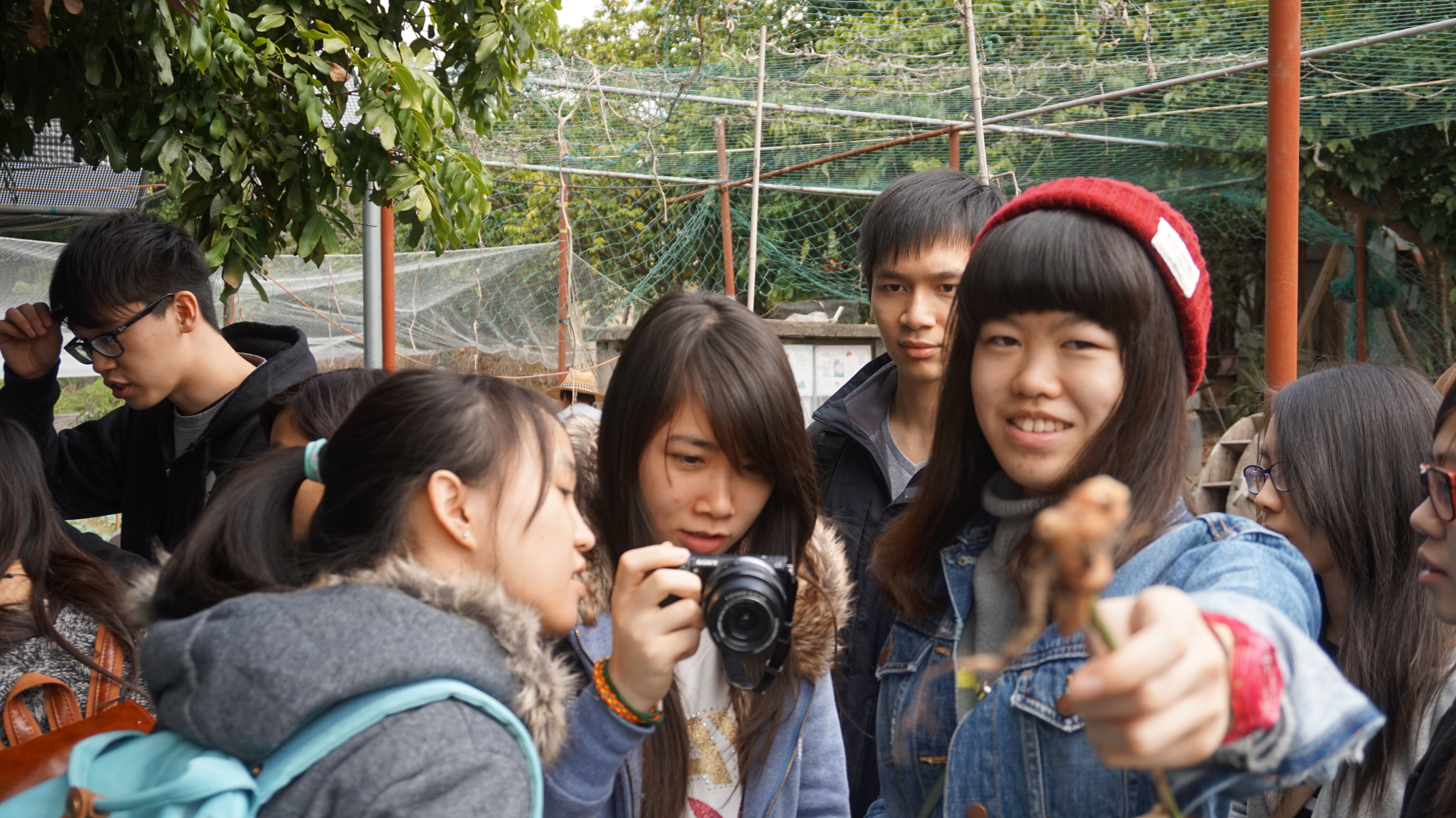 Visit to Organic Farm in Ha Pak Nai - Photo - 15
