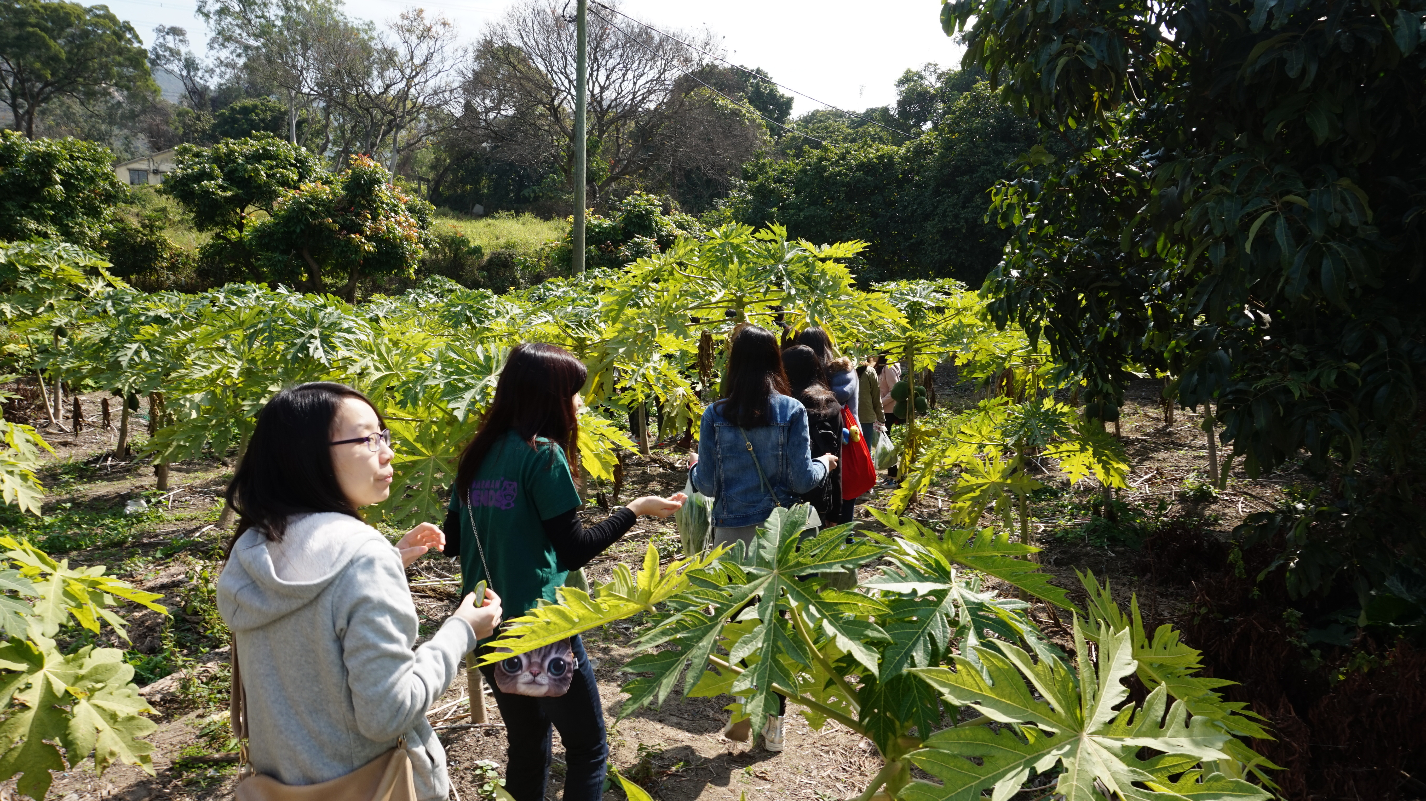 Visit to Organic Farm in Ha Pak Nai - Photo - 25