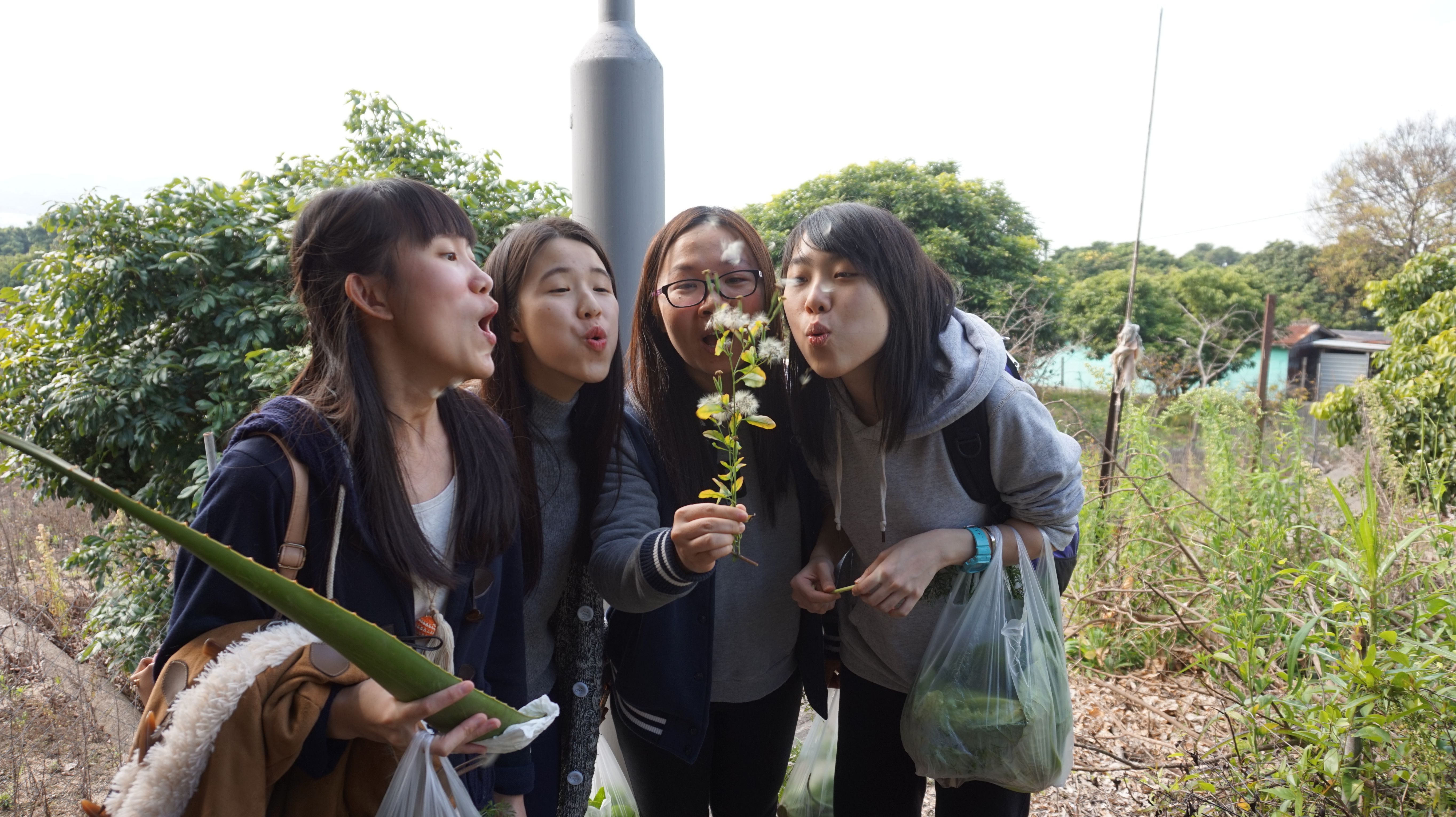 Visit to Organic Farm in Ha Pak Nai - Photo - 47