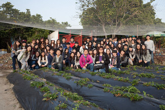 Visit to Organic Farm in Ha Pak Nai