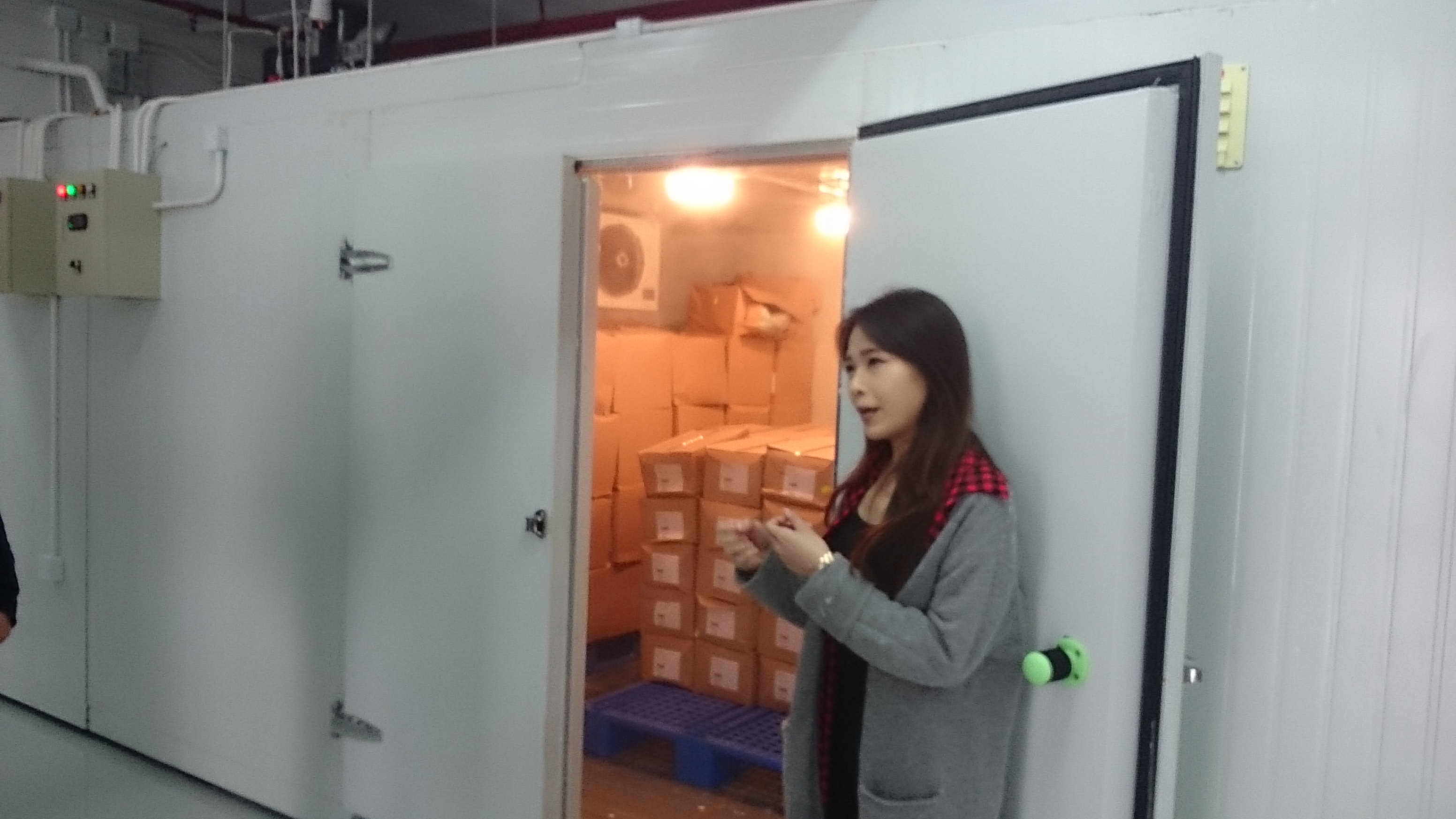 Visit to Feeding Hong Kong in Yau Tong - Photo - 5