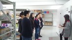 Visit to Feeding Hong Kong in Yau Tong - Photo - 7