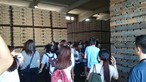 Study Tour: 6 Days Exploration of Taiwanese Food - Photo - 33