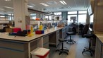 香港大學李嘉誠醫學院基因研究中心暑期實習 2015 - Photo - 17