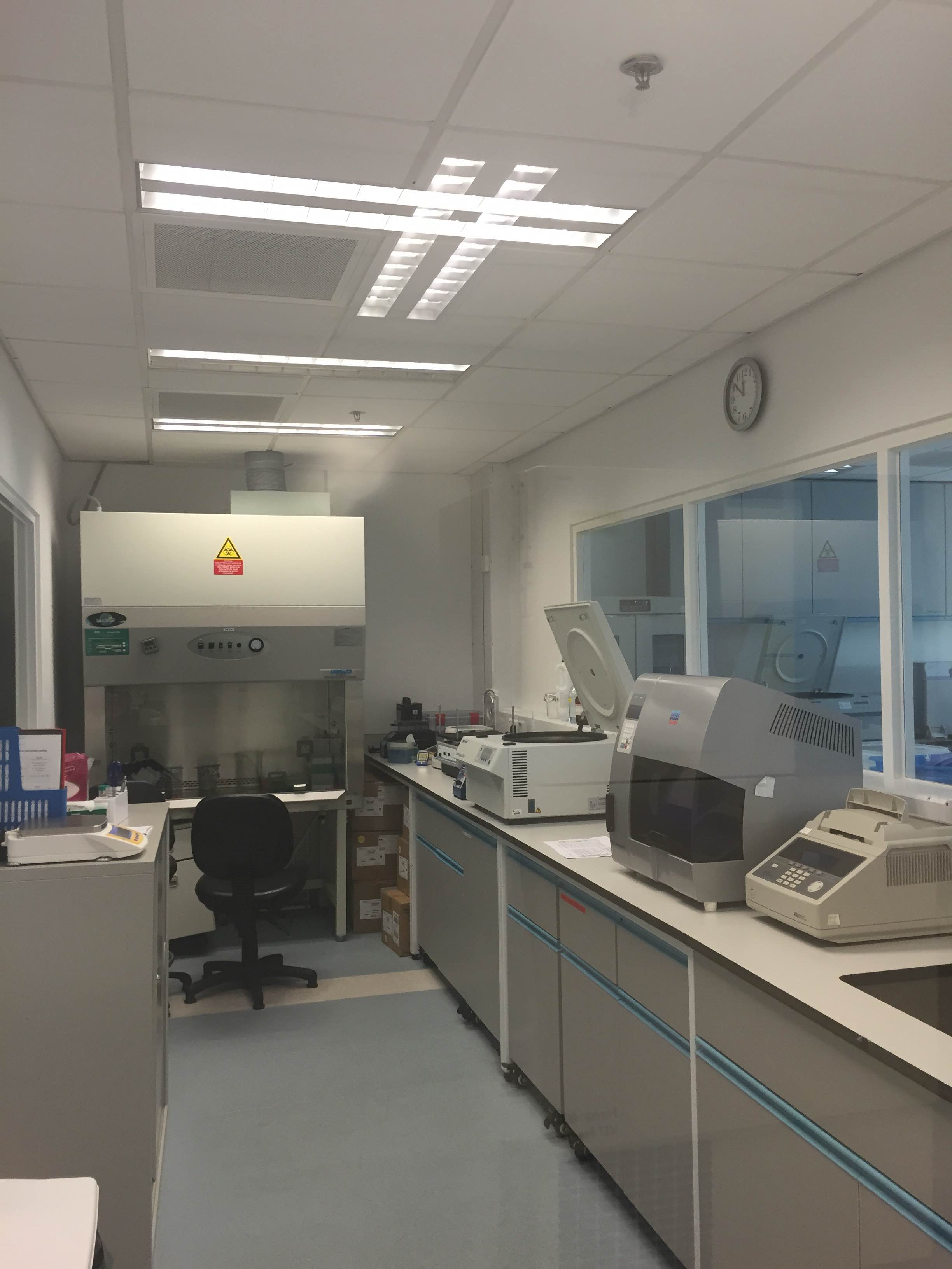 香港大學李嘉誠醫學院基因研究中心暑期實習 2015 - Photo - 11