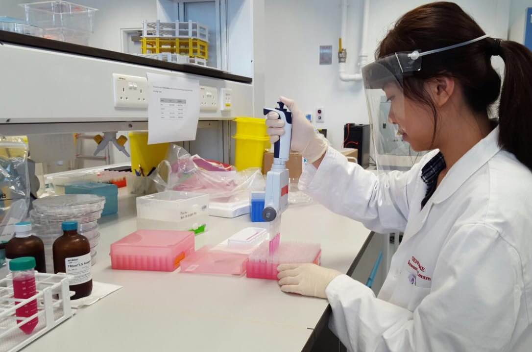 香港大學李嘉誠醫學院基因研究中心暑期實習 2015 - Photo - 23