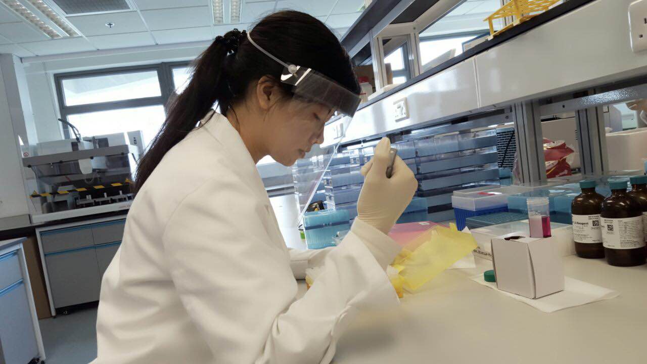 香港大學李嘉誠醫學院基因研究中心暑期實習 2015 - Photo - 25