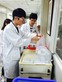 2015年醫療及保健產品管理高級文憑配藥學及化驗科學台中研習團 - Photo - 29