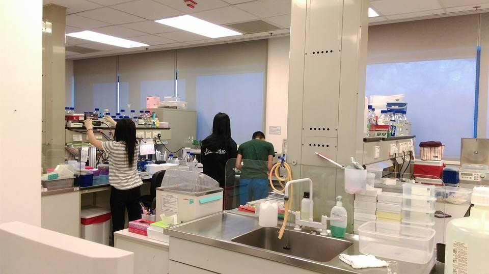 Psychiatry Internship - 2015 - Photo - 1
