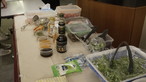 Outreach project II – UCN LOVE VEG@ Workplace Program - Photo - 7