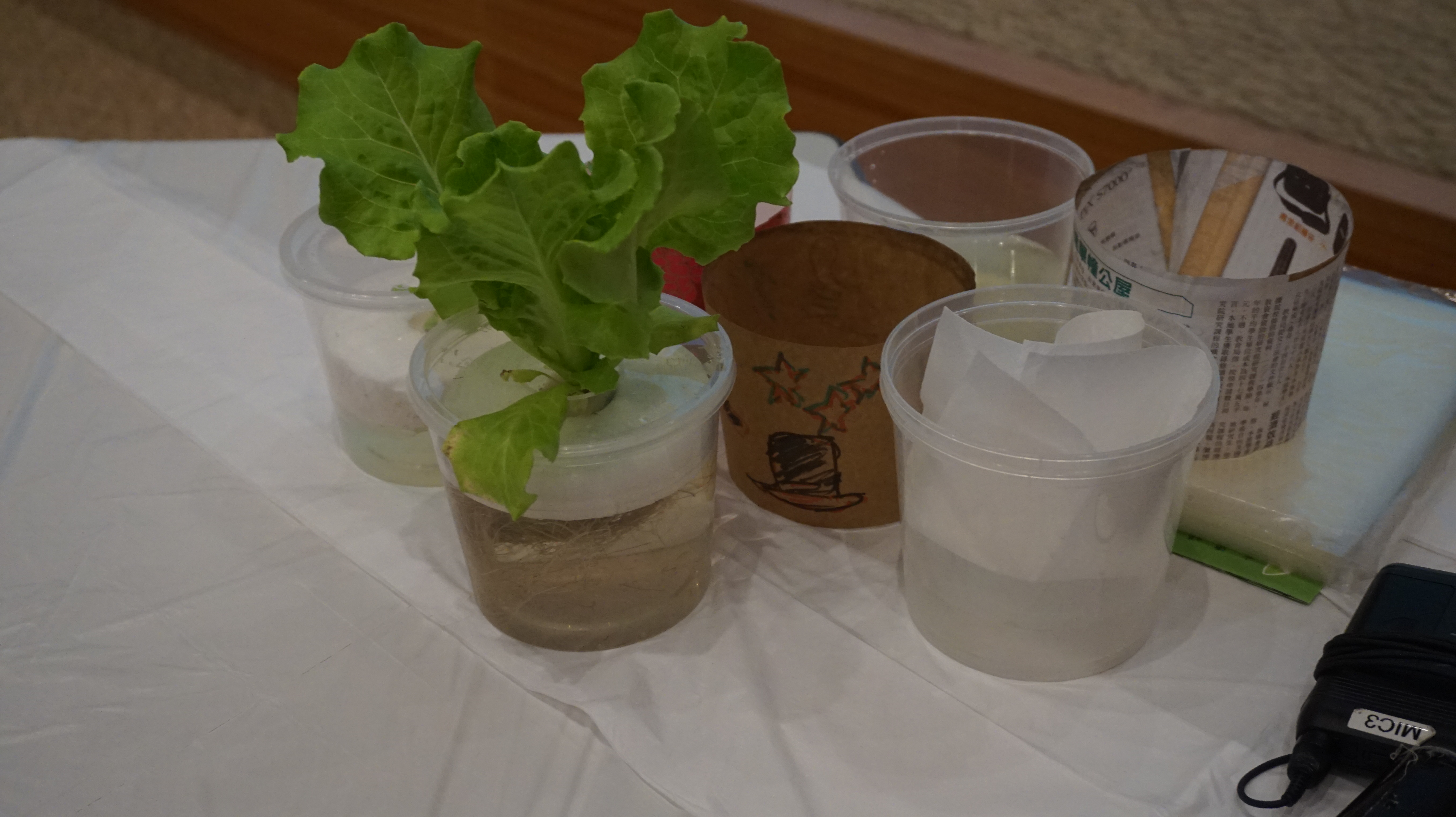 Outreach project II – UCN LOVE VEG@ Workplace Program - Photo - 19