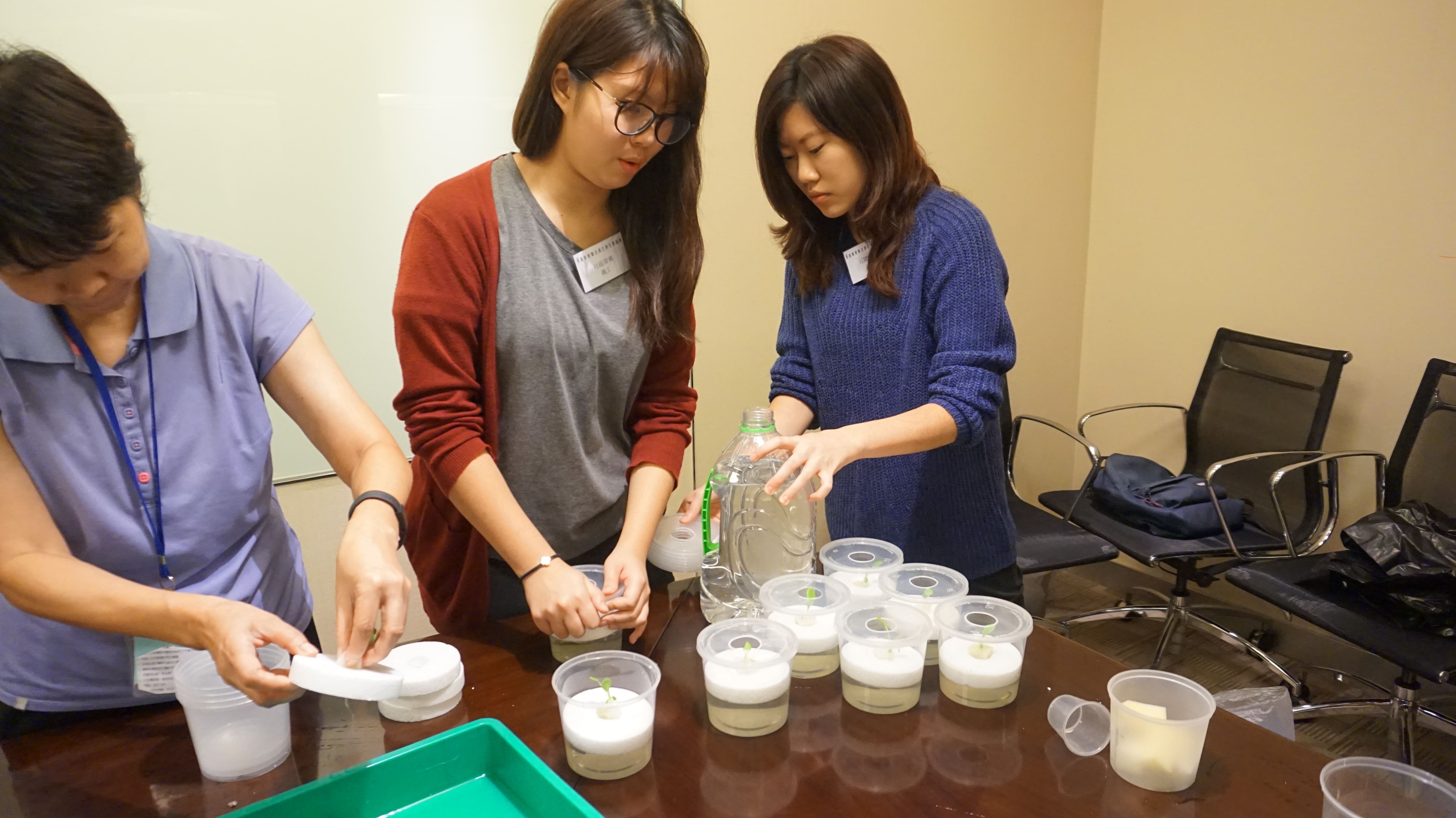 Outreach project II – UCN LOVE VEG@ Workplace Program - Photo - 25