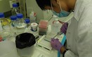 Learning experience in the research laboratory in the Department of Psychiatry of the University of Hong Kong in 2016 - Photo - 1