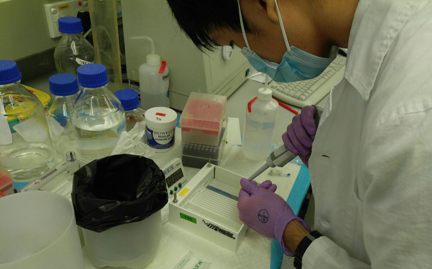Learning experience in the research laboratory in the Department of Psychiatry of the University of Hong Kong in 2016 - Photo - 1