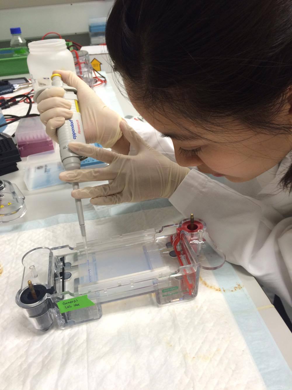 2016 Summer Internship Training at the Centre for Genomic Sciences, Li Ka Shing Faculty of Medicine, The University of Hong Kong - Photo - 3