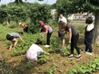 Wuhan Voluntary Services Tour 2017 - Photo - 5