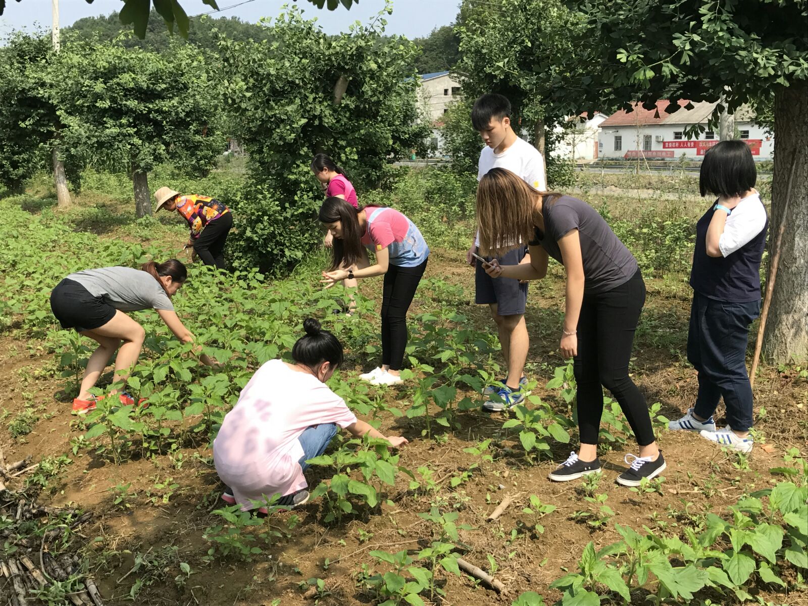 Wuhan Voluntary Services Tour 2017 - Photo - 5