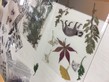 Alumni Cyanotype Workshop - Photo - 15
