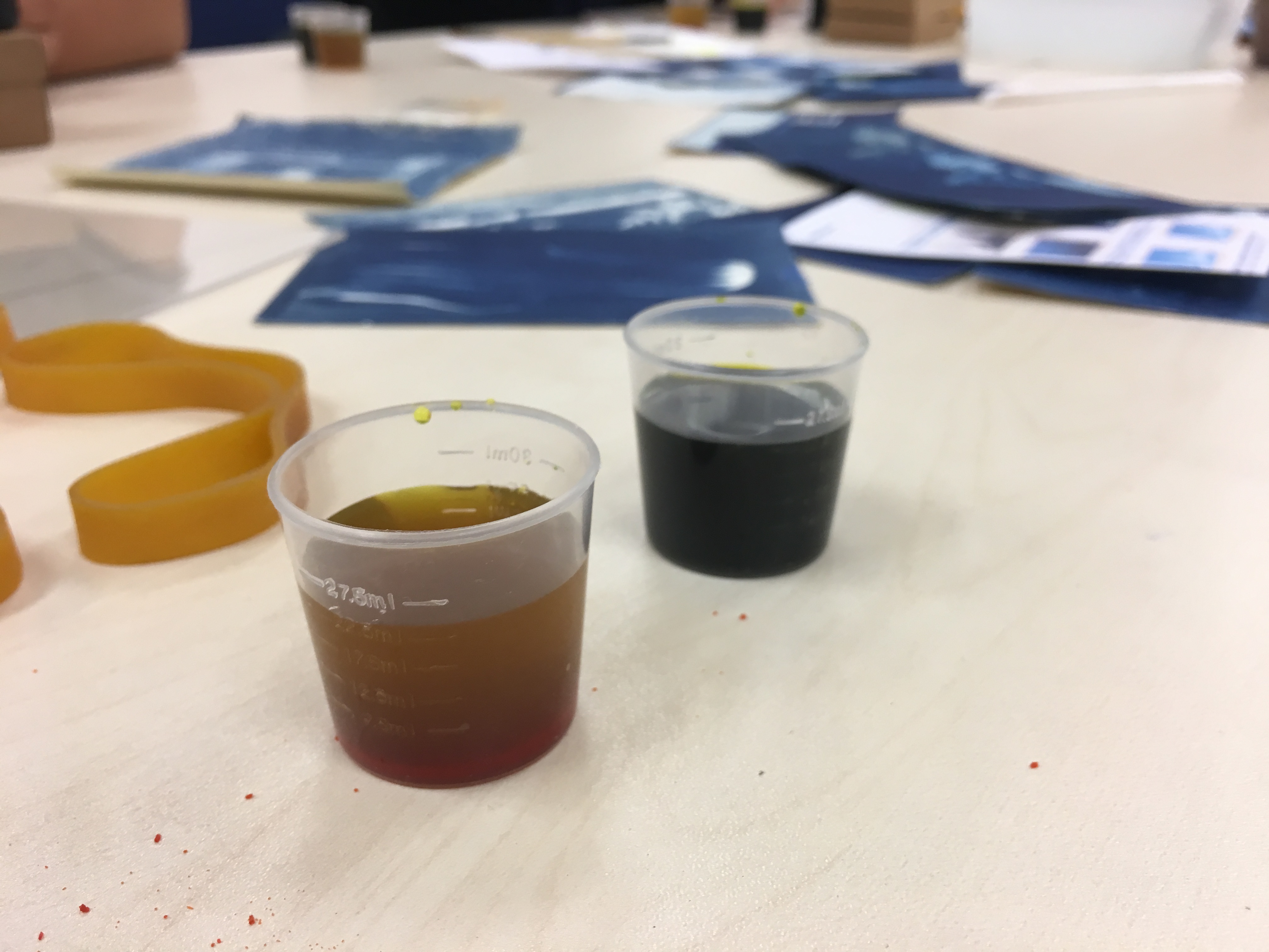 Alumni Cyanotype Workshop - Photo - 13