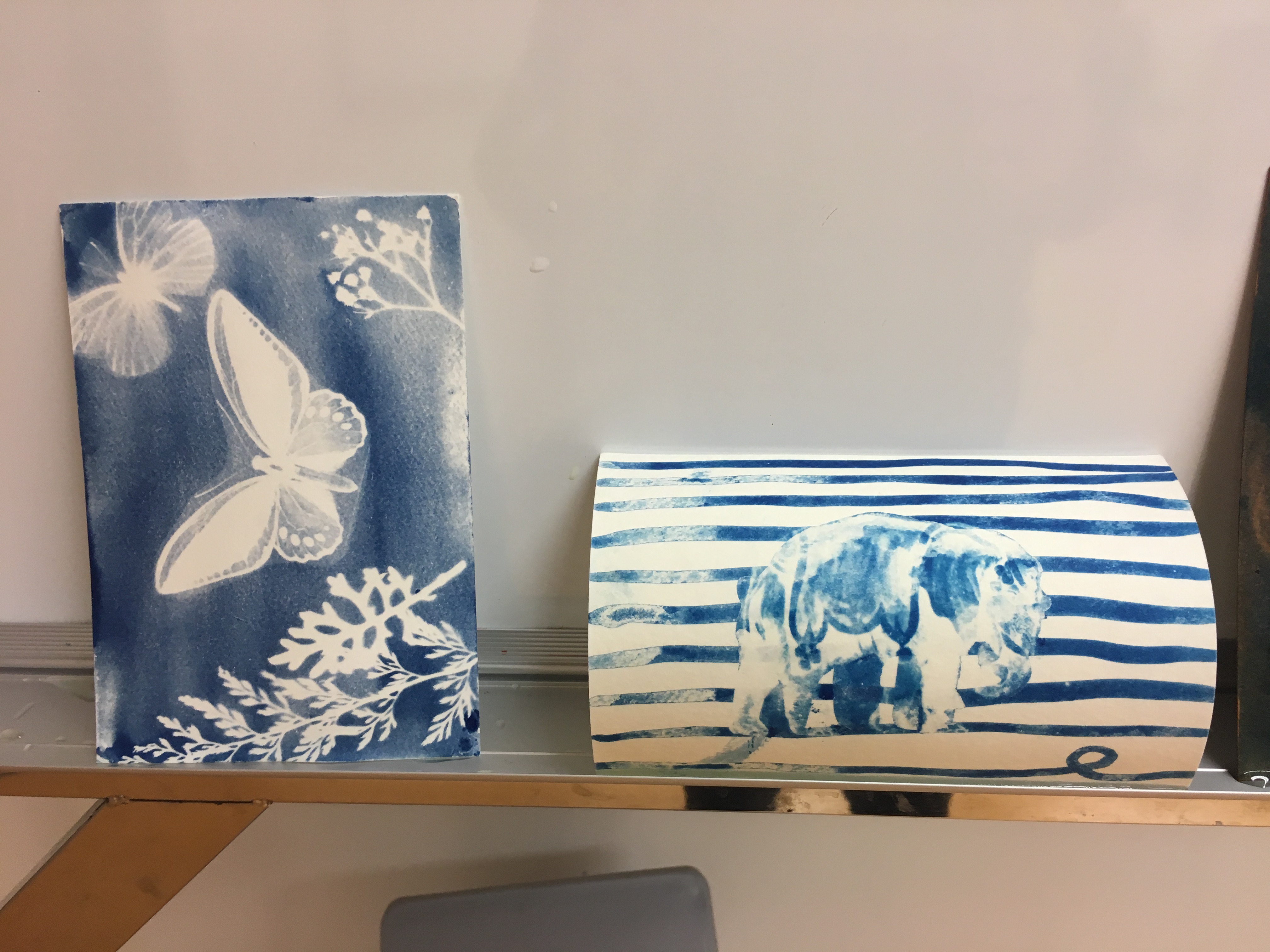 Alumni Cyanotype Workshop - Photo - 19
