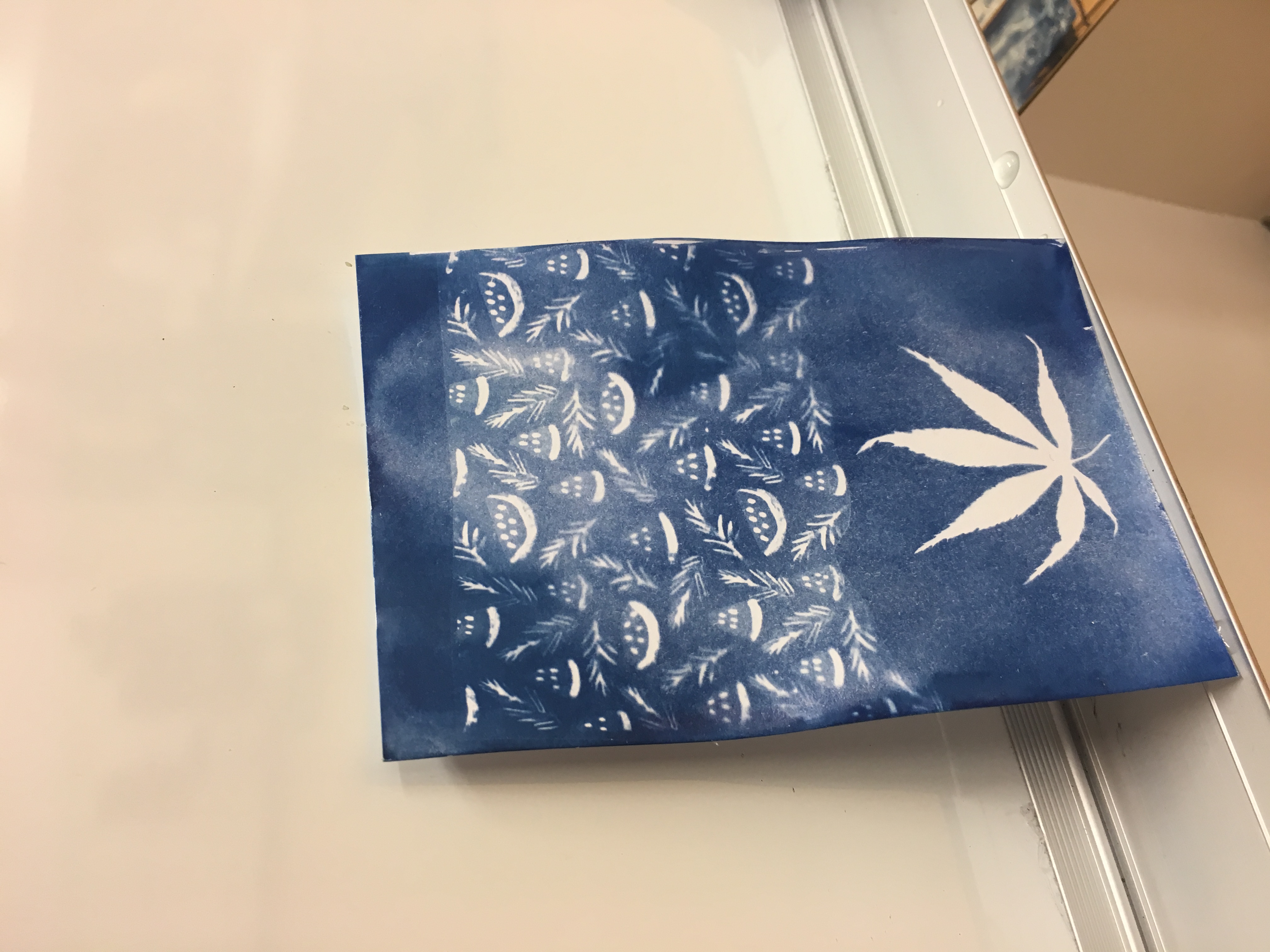 Alumni Cyanotype Workshop - Photo - 21