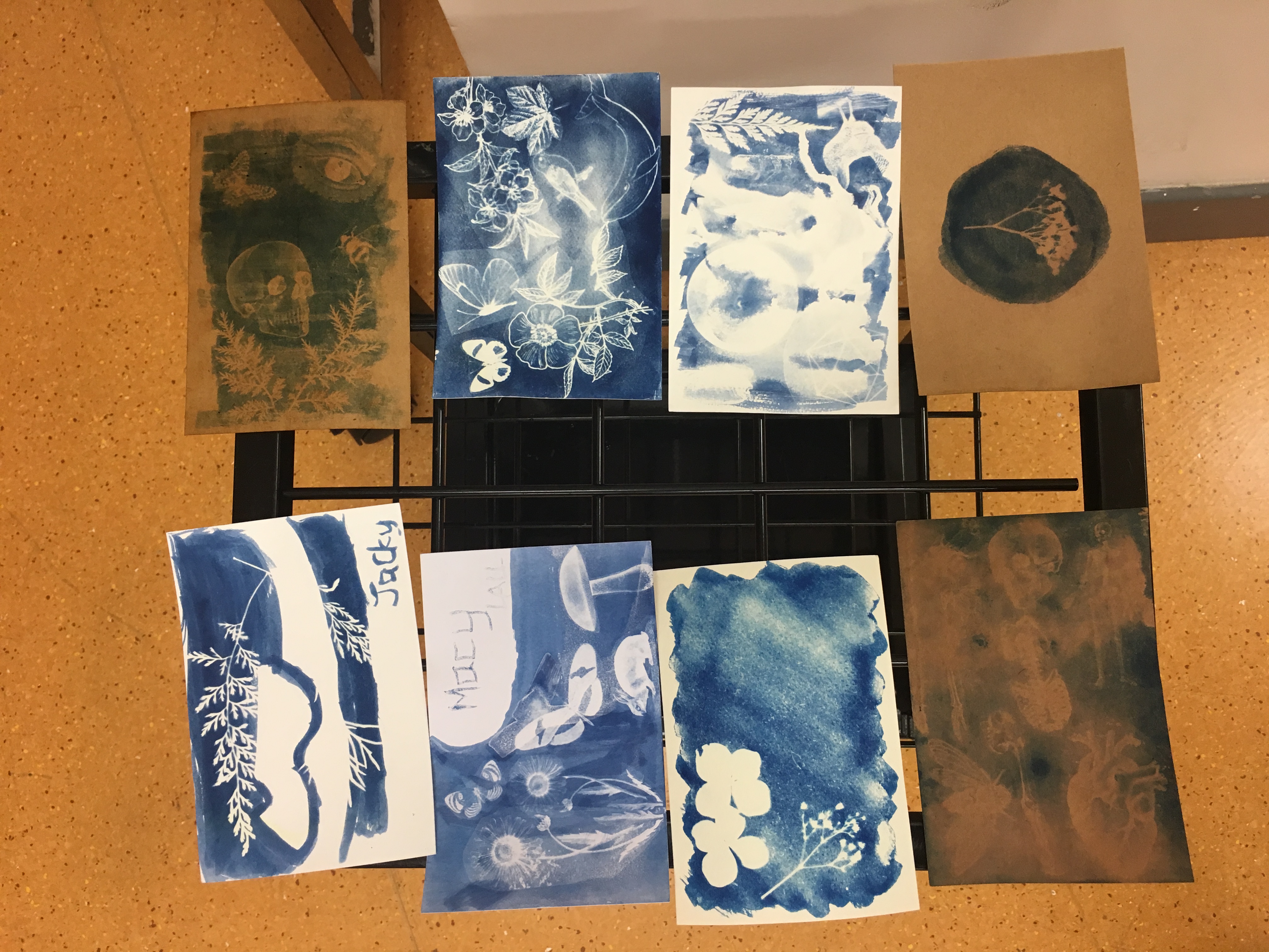 Alumni Cyanotype Workshop - Photo - 27
