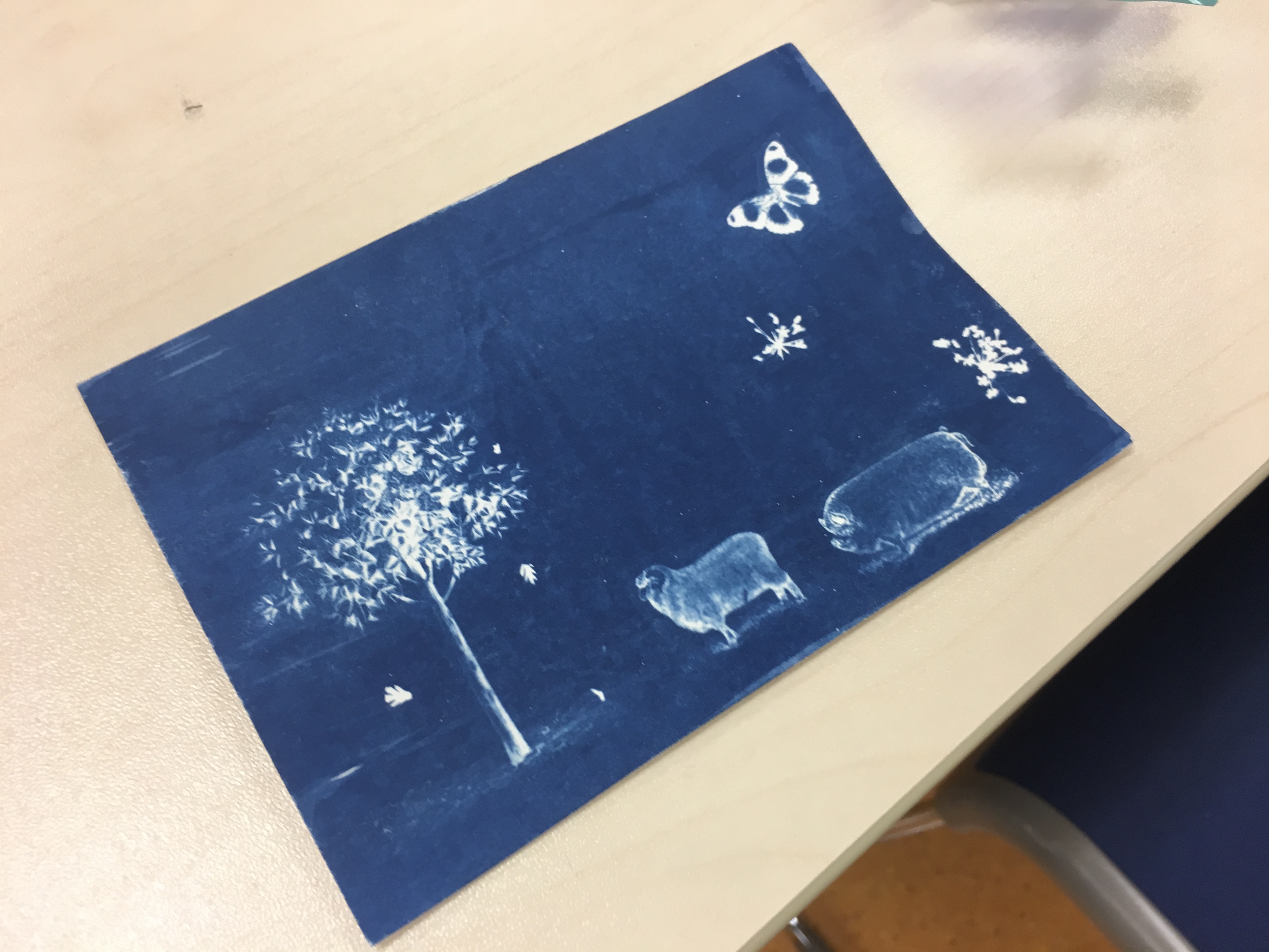 Alumni Cyanotype Workshop - Photo - 23