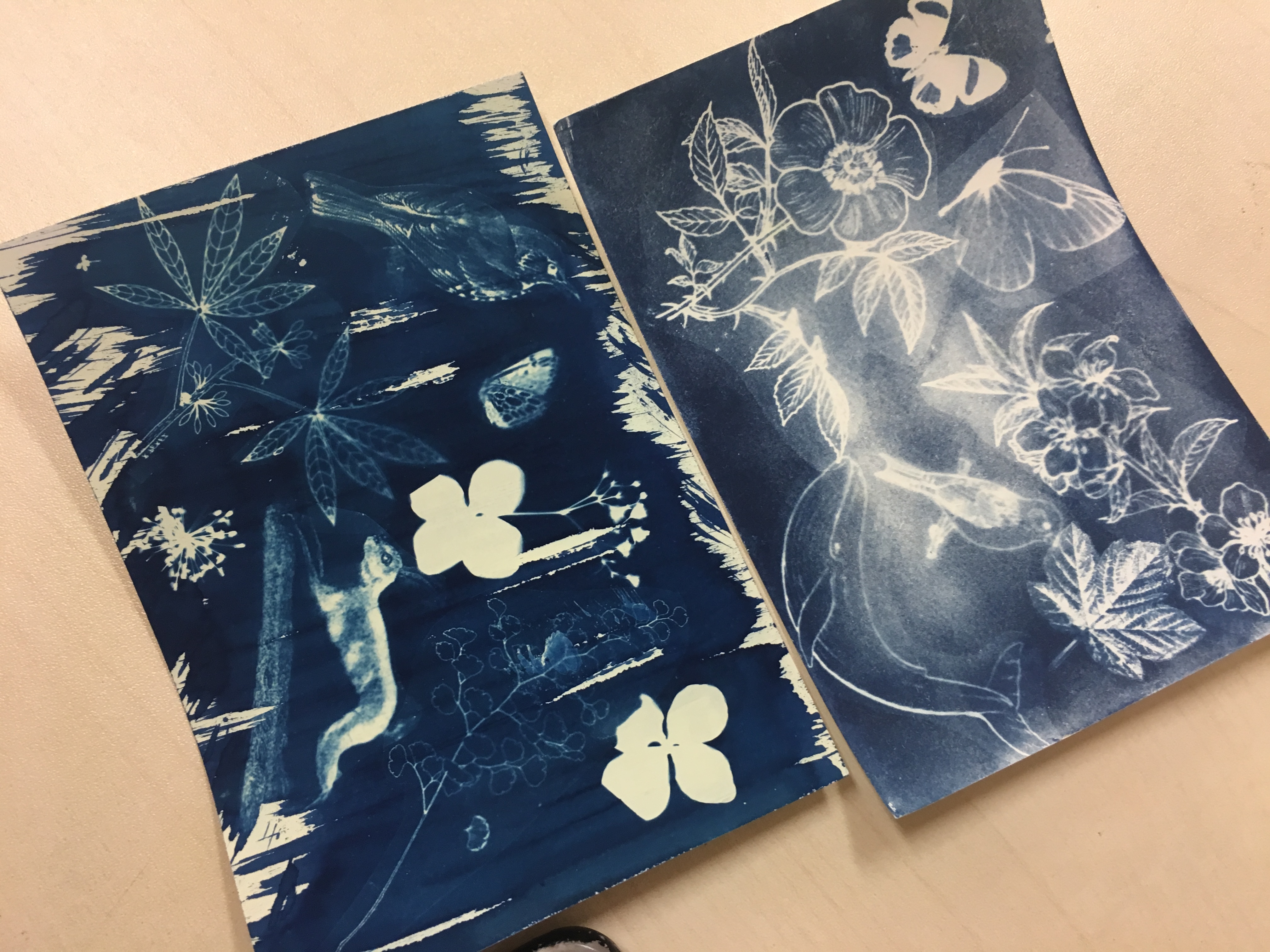 Alumni Cyanotype Workshop - Photo - 25