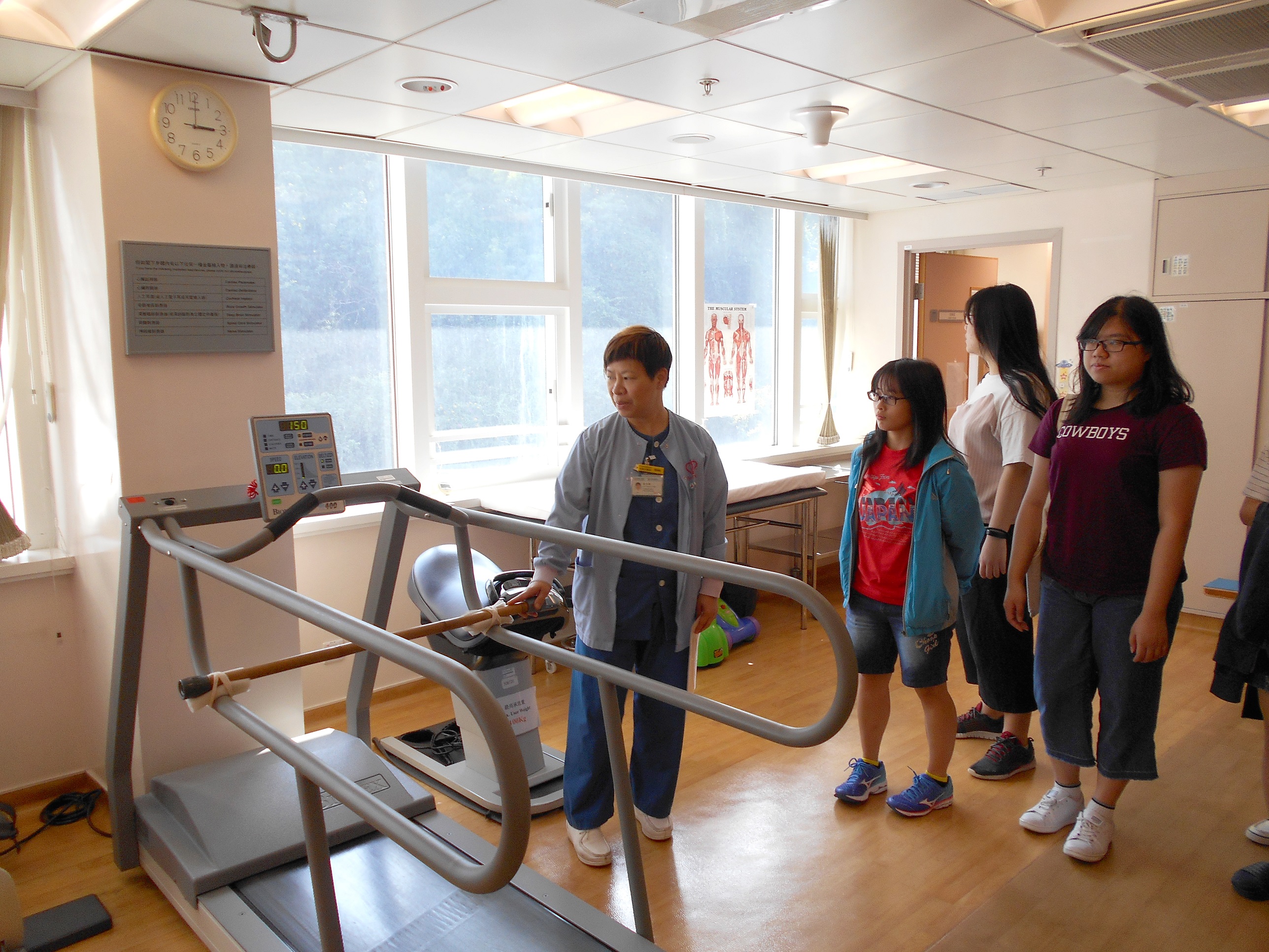 Getting to Know More About Physiotherapy - Photo - 3