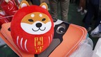 Young Entrepreneur 2018 - Forever Dog - Photo - 3