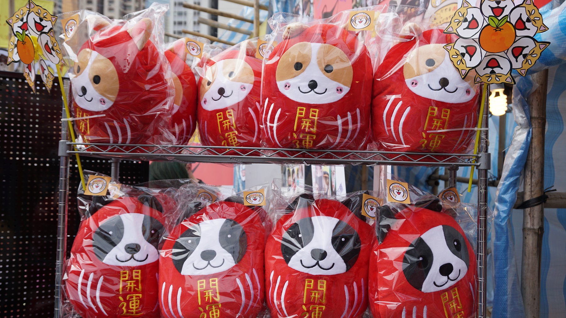 Young Entrepreneur 2018 - Forever Dog - Photo - 11