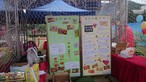 CLP Safety, Health & Environment (SHE) Day in 2017 - Photo - 13