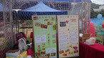 CLP Safety, Health & Environment (SHE) Day in 2017 - Photo - 15