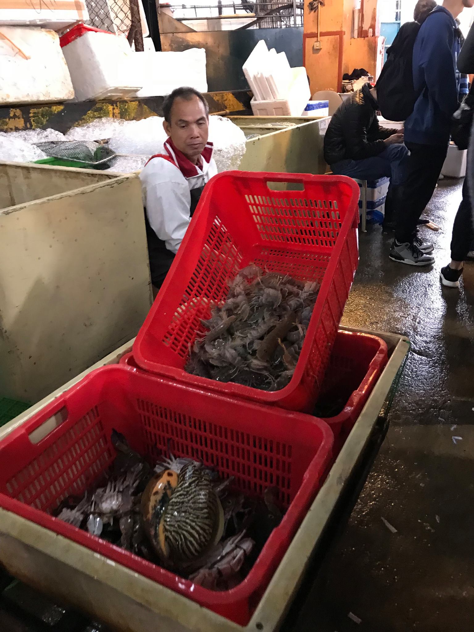 Visit to Fish Marketing Organization (FMO)  - Photo - 3