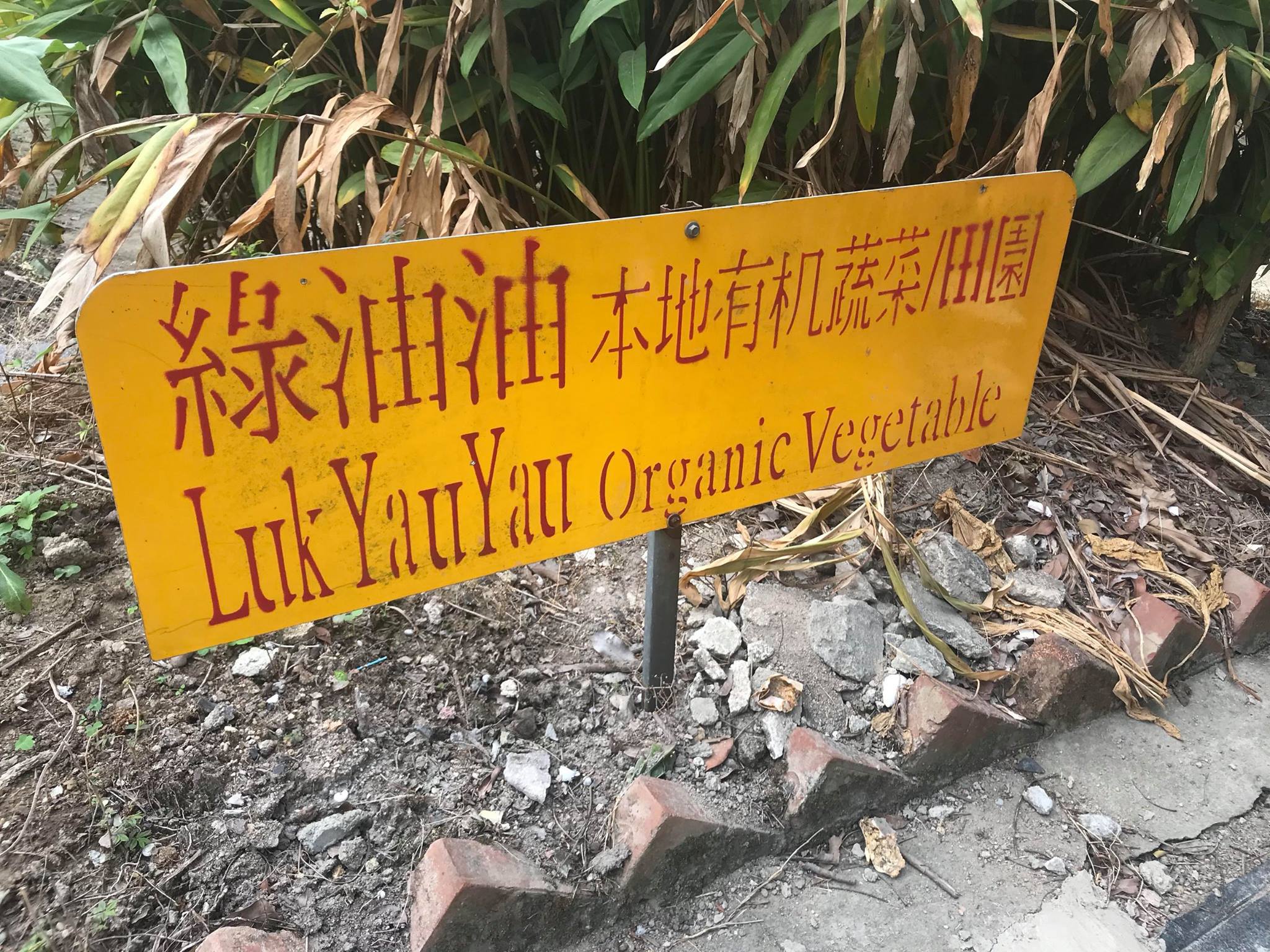 Visit to Luk Yau Yau Organic Farming  - Photo - 1