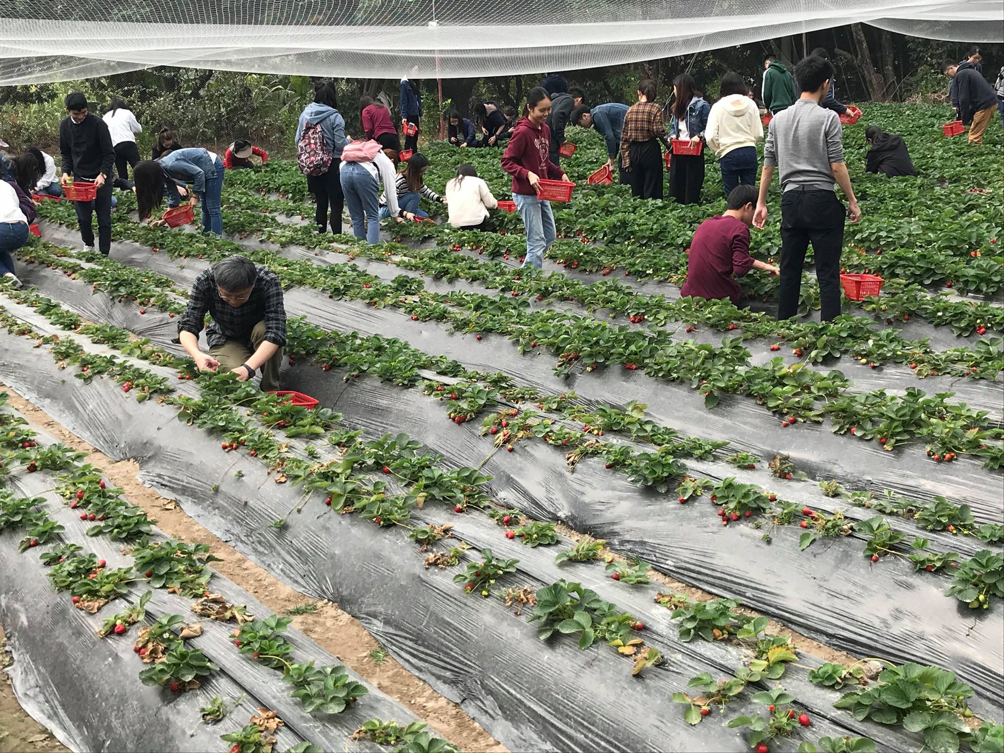 Visit to Luk Yau Yau Organic Farming  - Photo - 27
