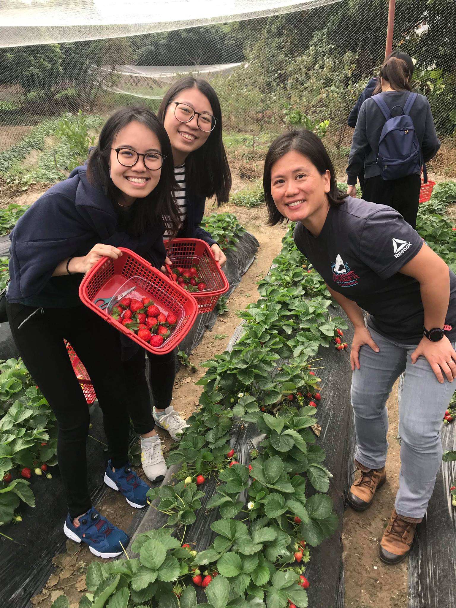 Visit to Luk Yau Yau Organic Farming  - Photo - 31
