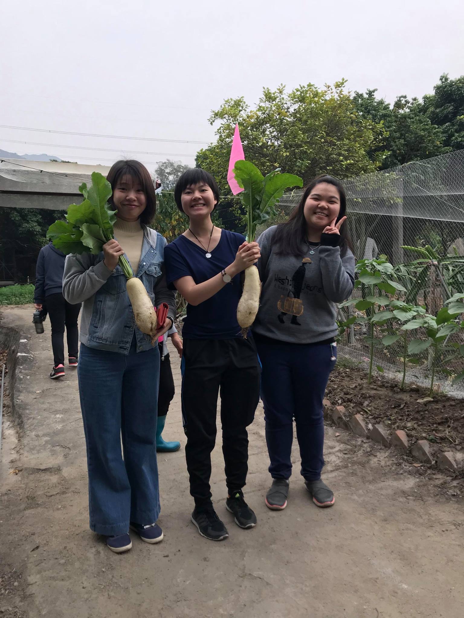 Visit to Luk Yau Yau Organic Farming  - Photo - 29