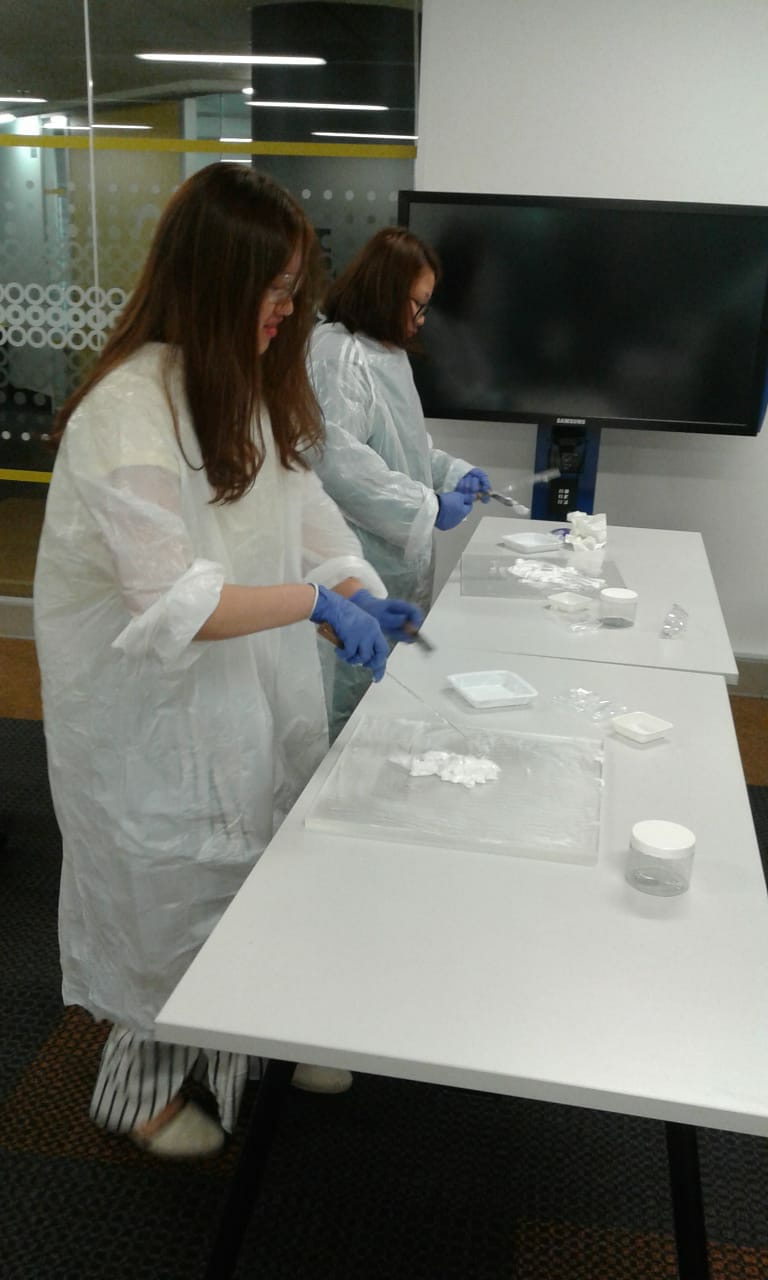 Medical Laboratory Science, pharmacy and allied health overseas study tour 2018 - Photo - 13