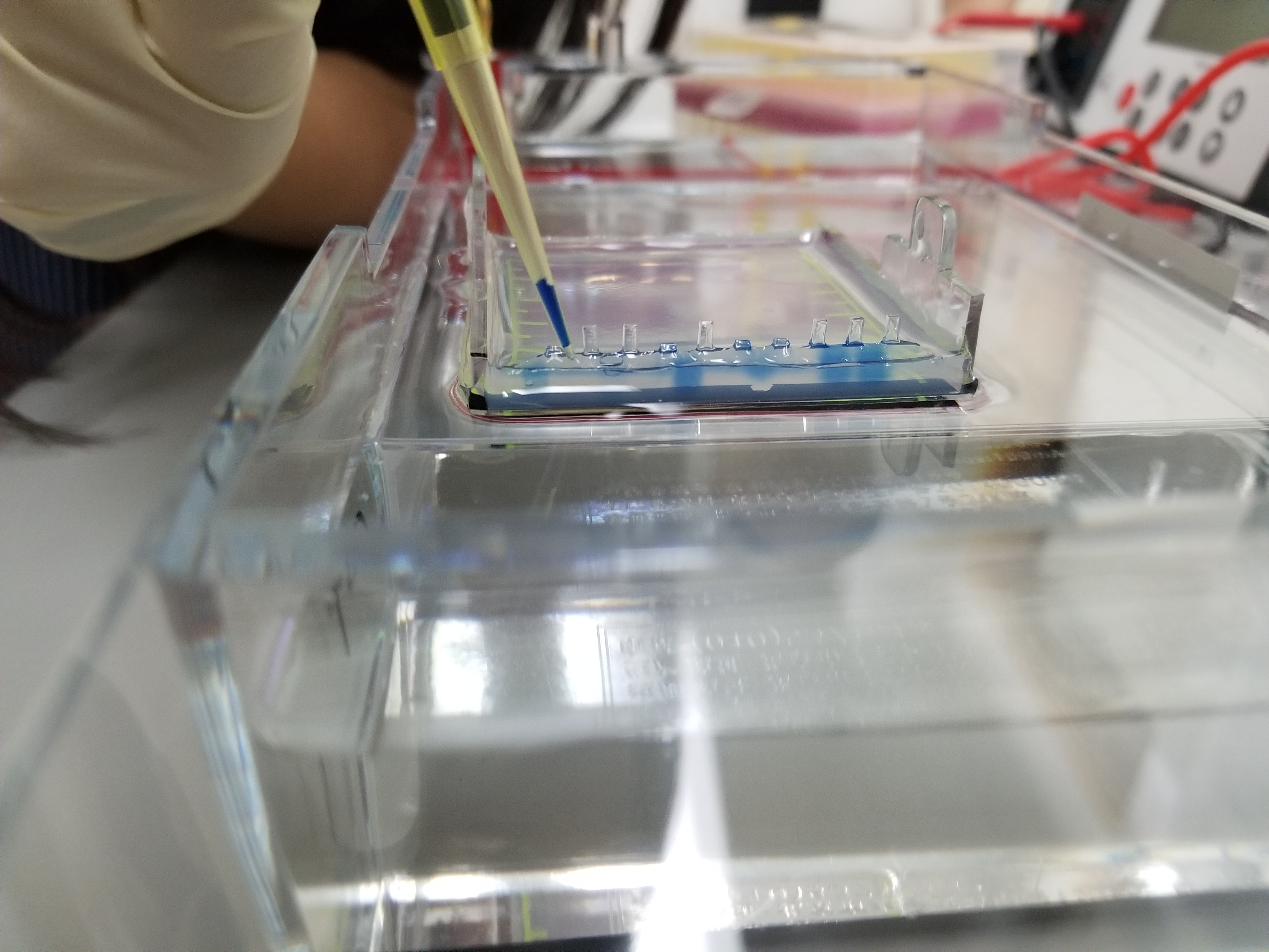Internship in China Bioengineering Technology Group Ltd - Chadwick Mo - Photo - 3