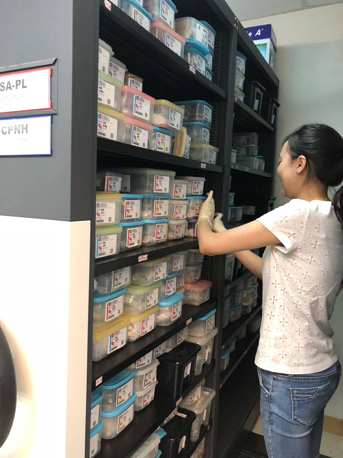 Summer practical training at ACP Medication Management Centre - Photo - 3