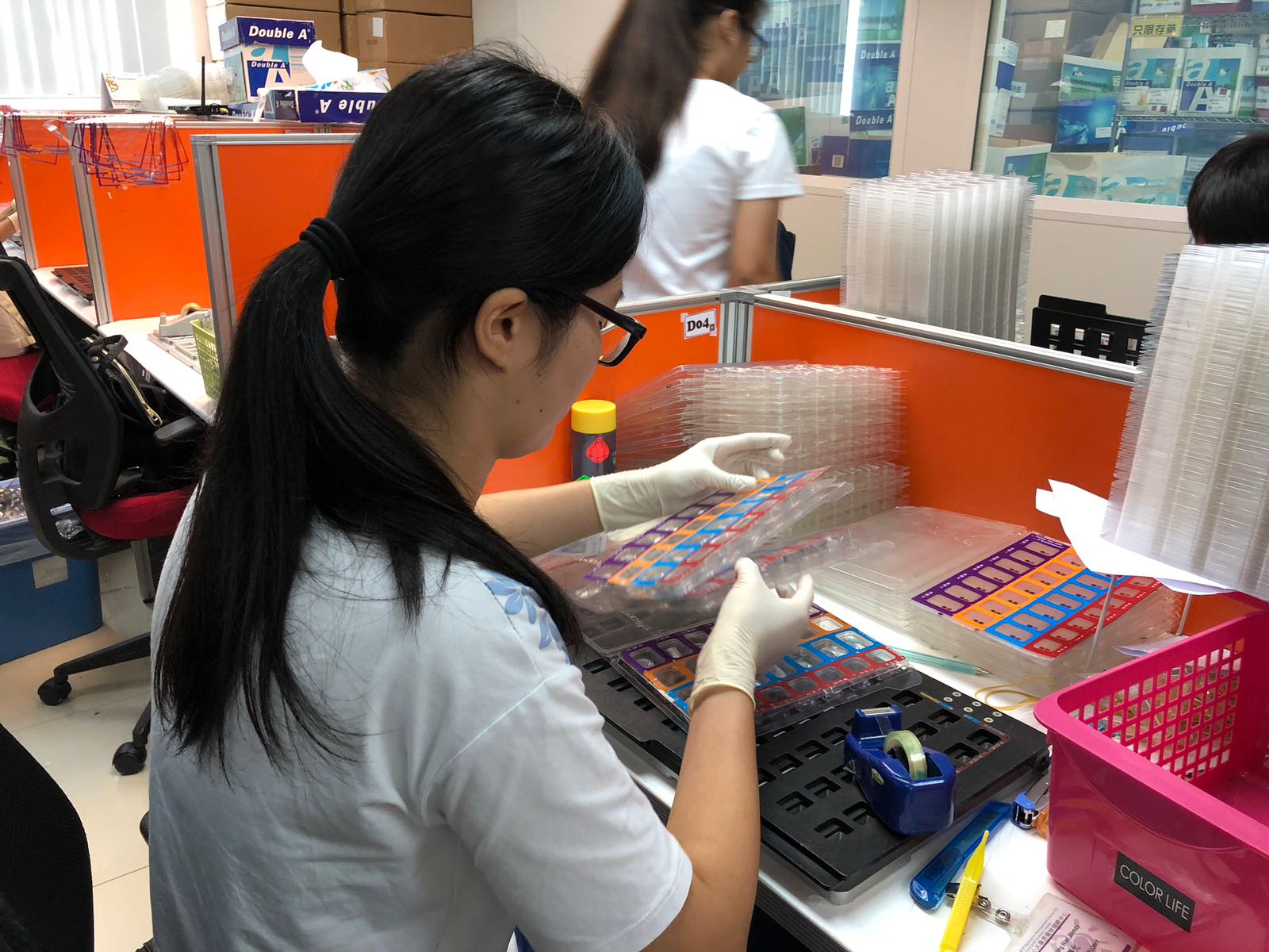 Summer practical training at ACP Medication Management Centre - Photo - 1